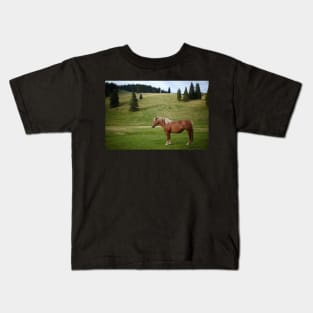 Brown horse on a pasture Kids T-Shirt